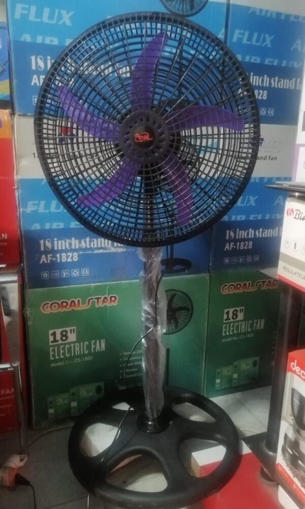 Standing Fan